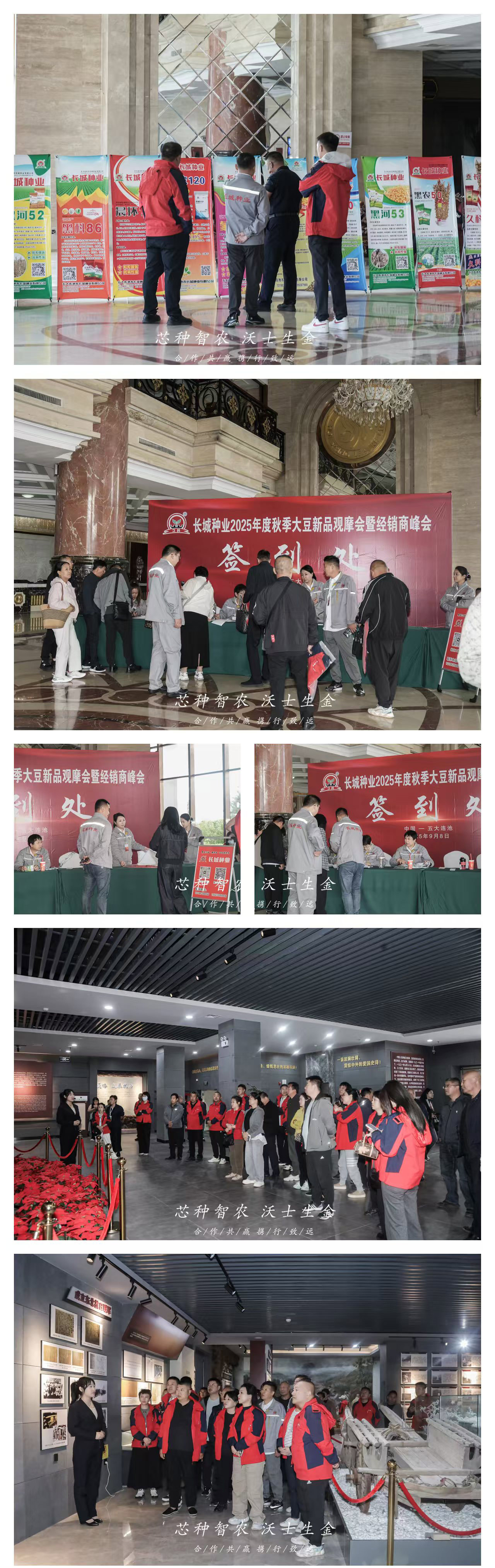 2025年度秋季大豆新品觀摩會(huì)暨經(jīng)銷商峰會(huì)簽到現(xiàn)場(chǎng).jpg